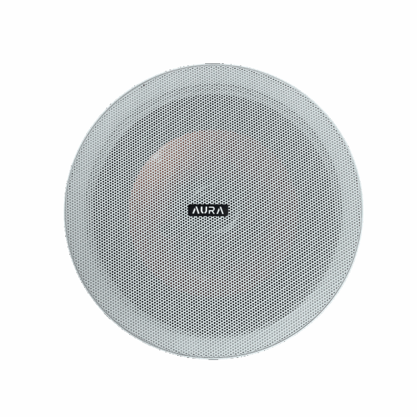 SCIW20D6W01-1